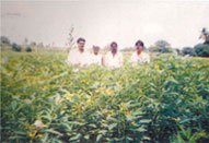 reselts-2